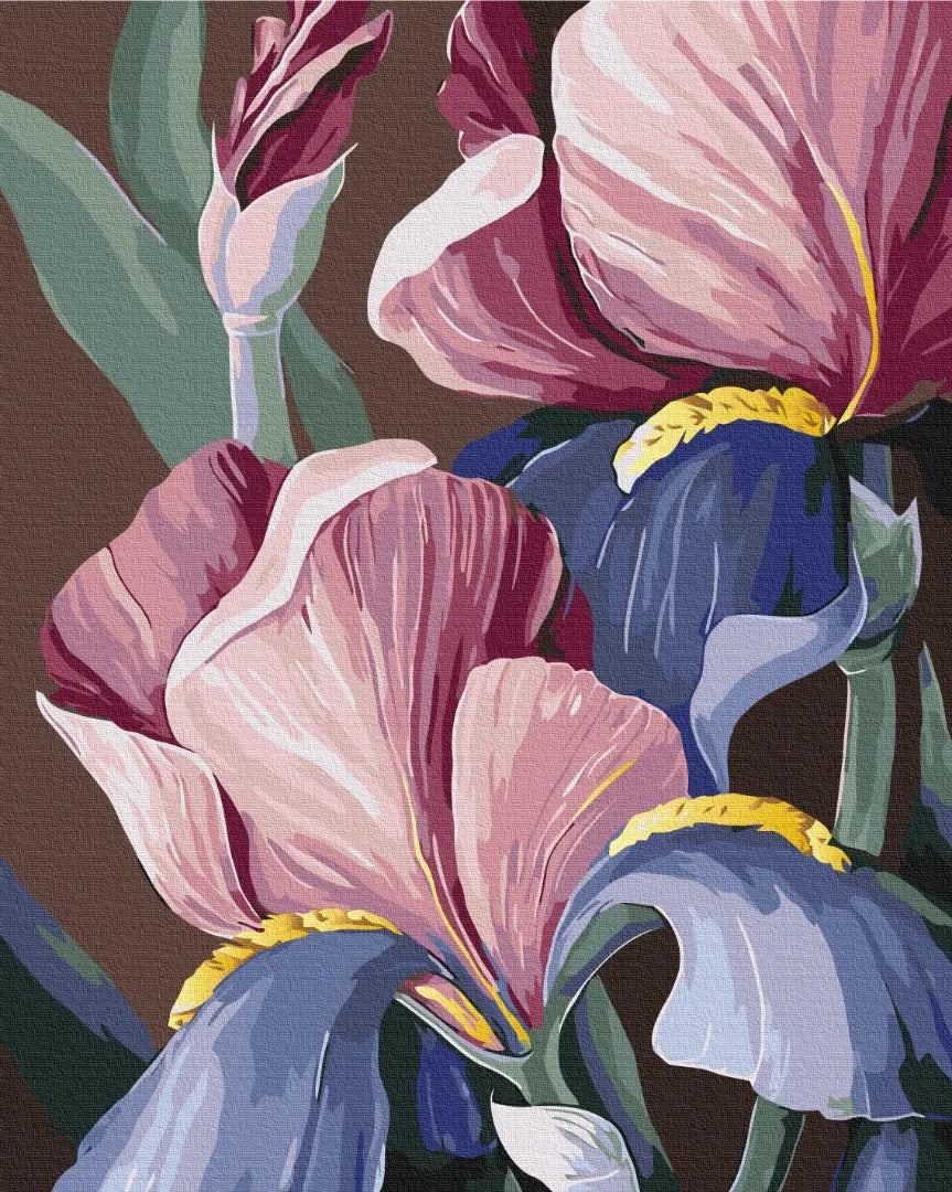 Півники © Yana Biluhina (BS53760)