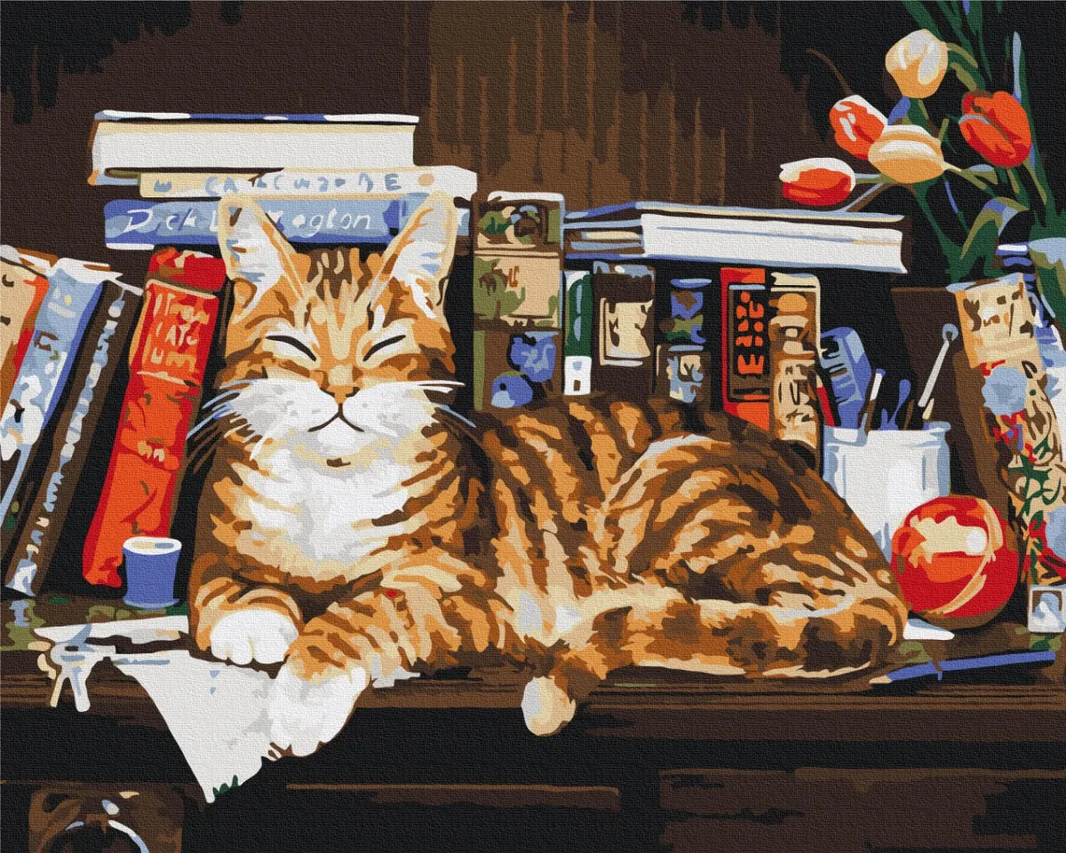 Кіт на книжковій полиці (BS4142)