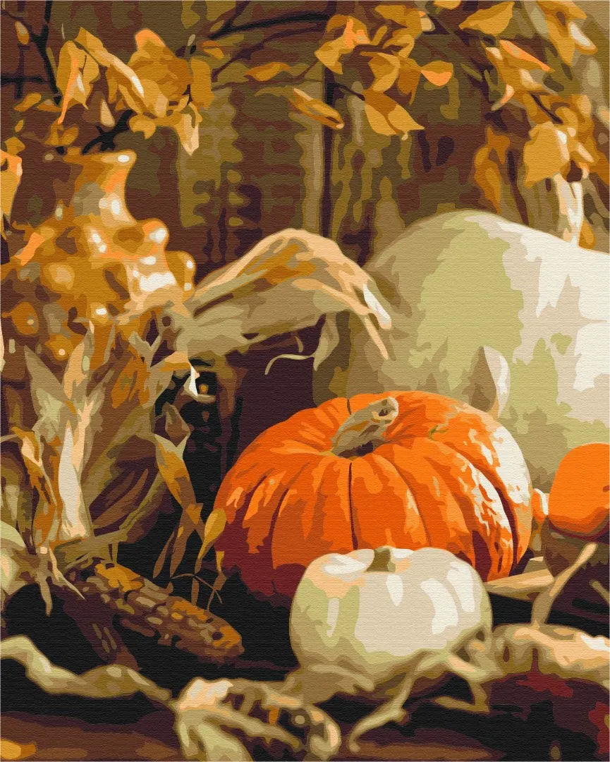 Гарбузовий натюрморт (BS52367L)