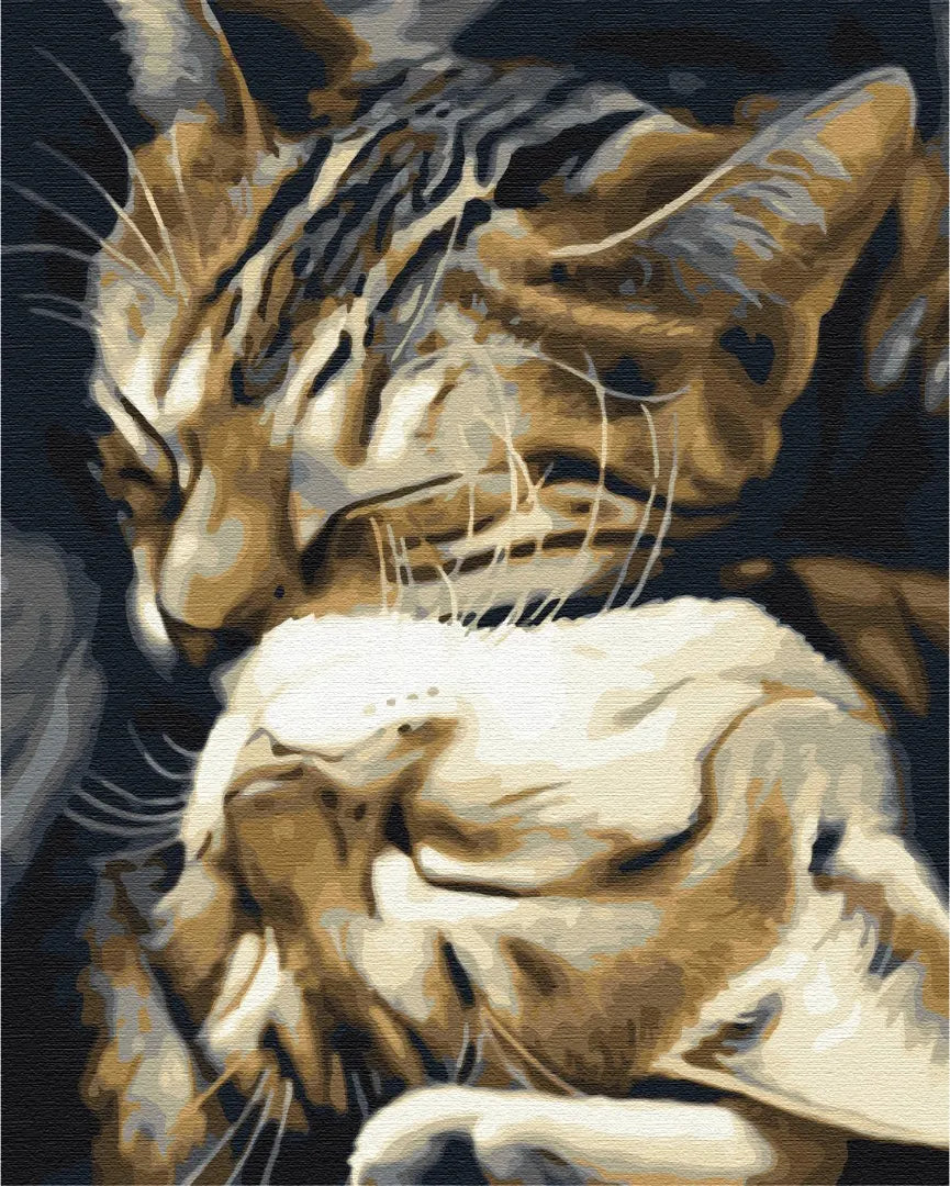 Сплячі котики (BS29747)
