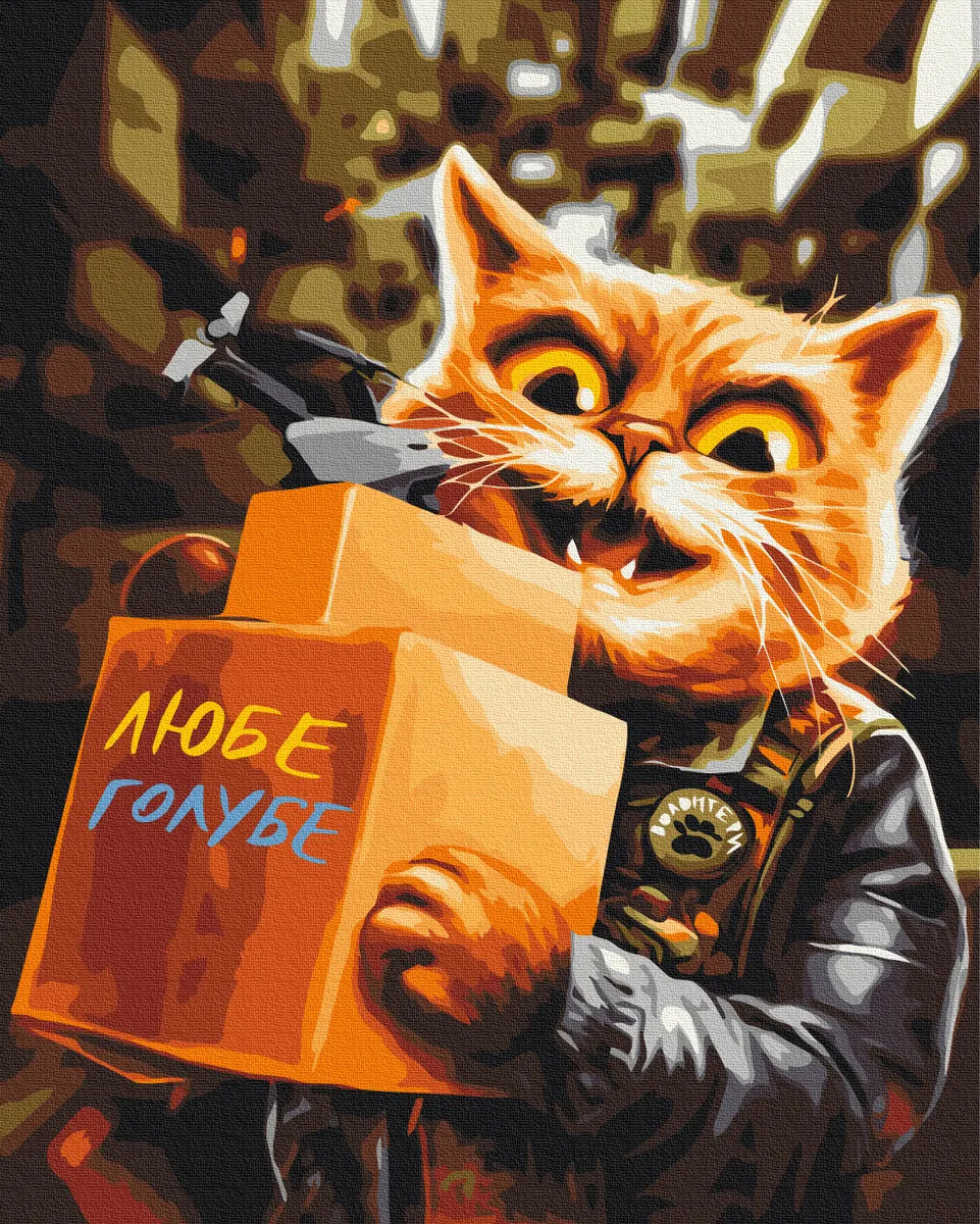 Котик волонтер © Маріанна Пащук (BS53948)