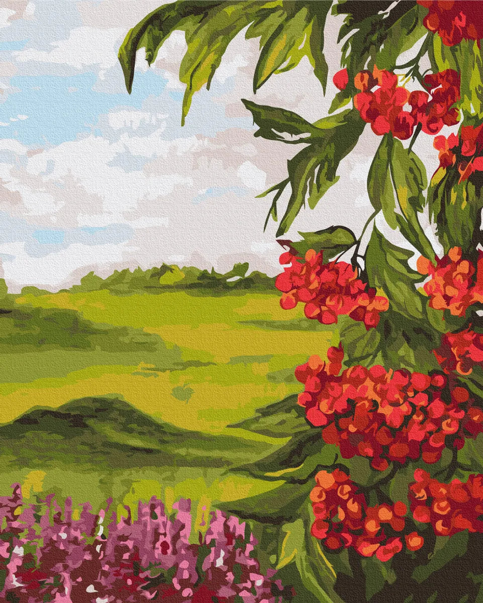 Польова калина © Bona (BS53959)