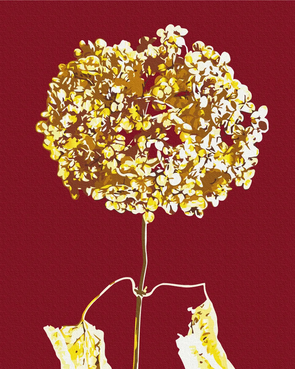 Золота гортензія © Halyna Vitiuk (BS53997)