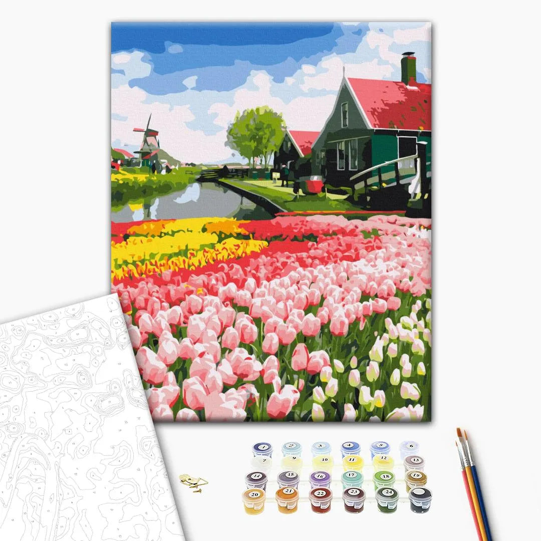 Голландська провінція (BS52716)