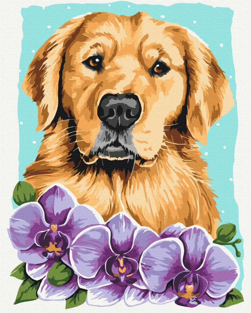 Золотистий ретривер © Anna Kulyk (BS53583)