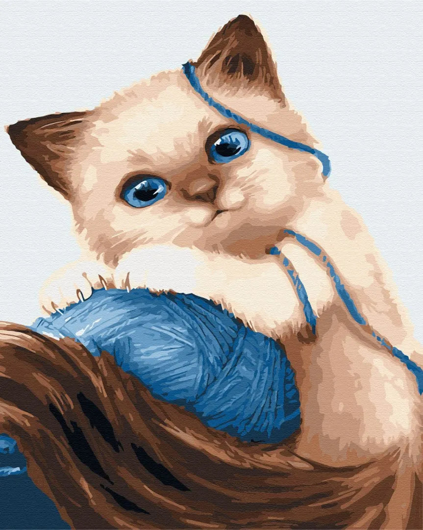 Кошеня з клубком (BS23633L)
