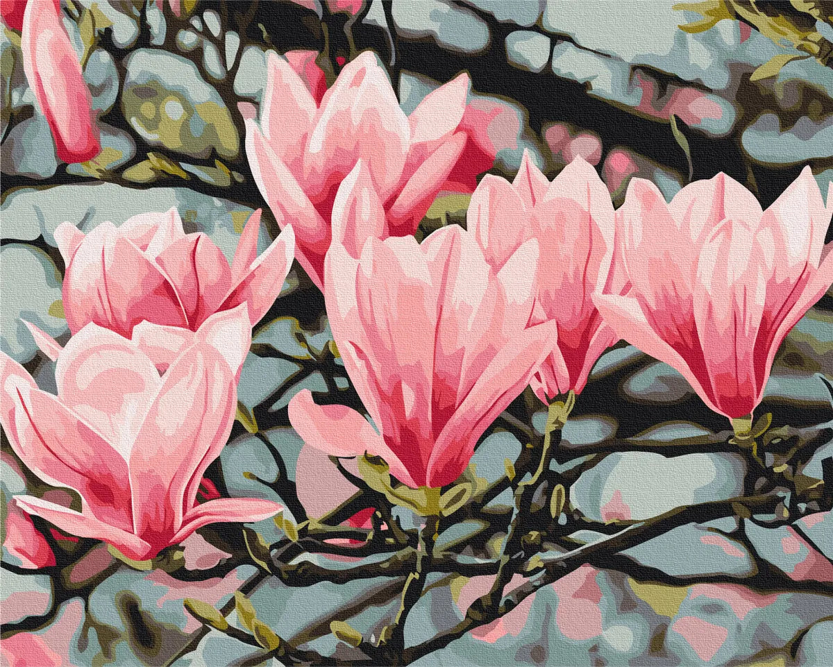Цвіт магнолії © Anastasiia Osmolovska (BS54135)