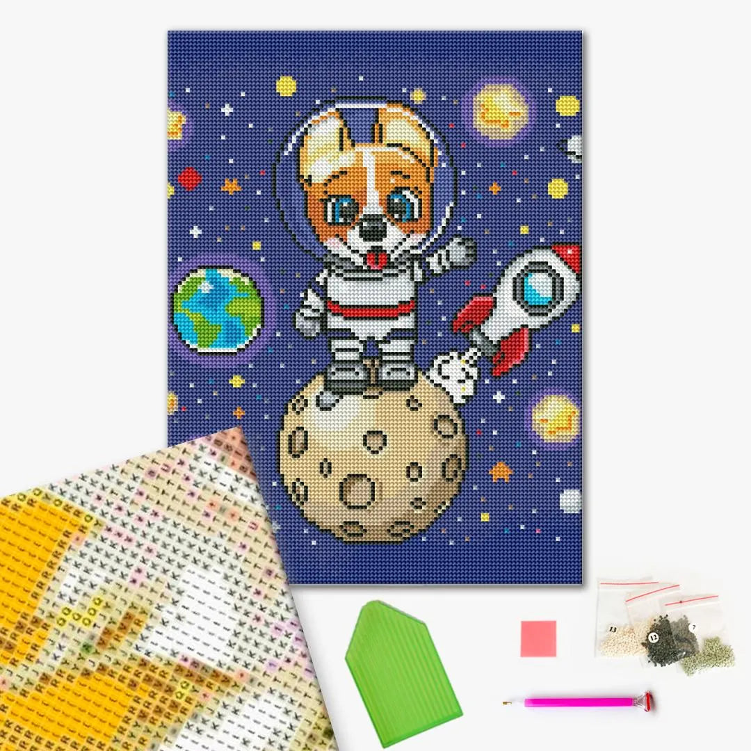 Коргі в космосі (DRBS0099)